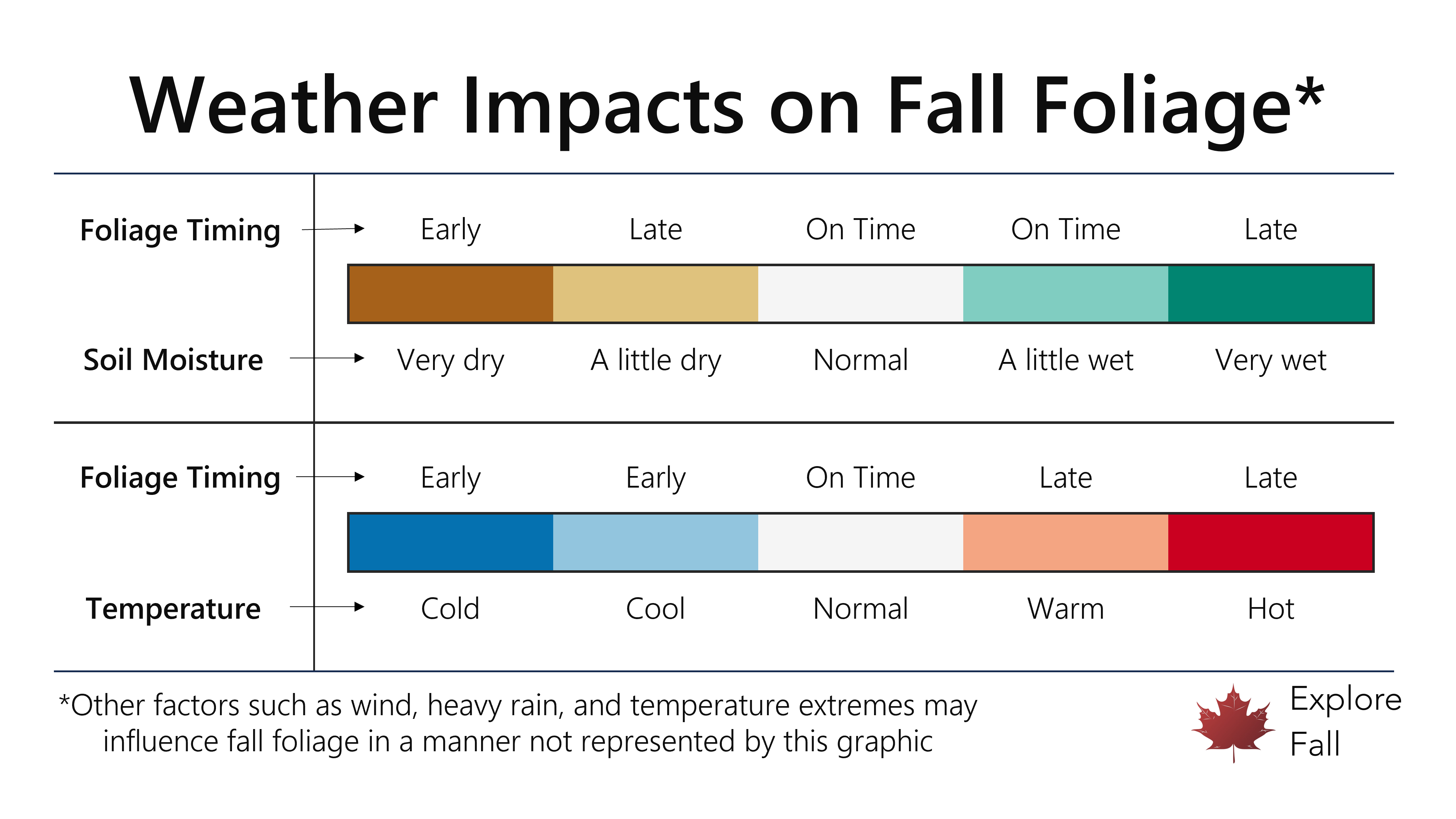 Graphic depicting how cold (warm) temperatures can cause fall foliage to turn early (late), and also how precipitation affects fall foliage.